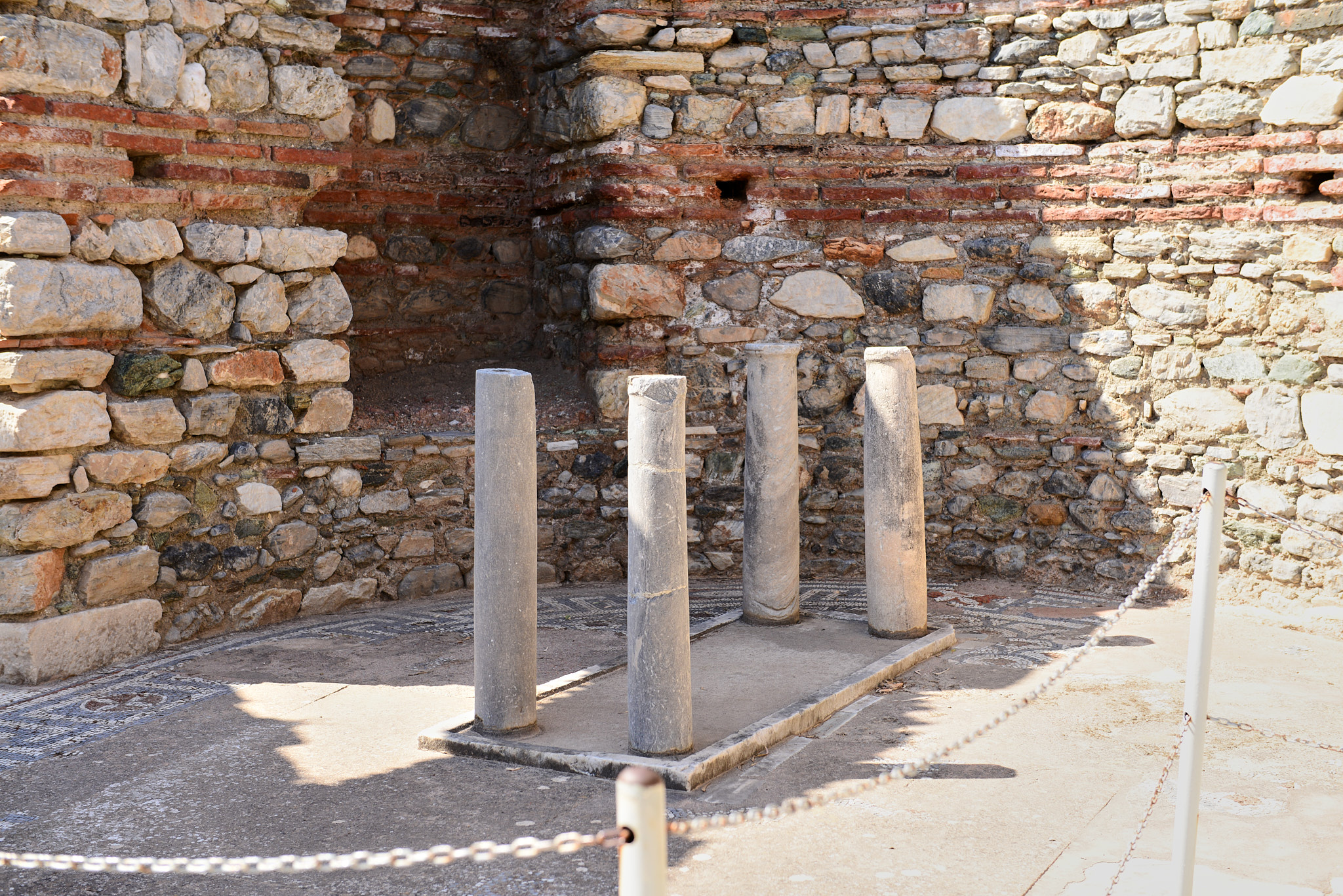 593 셀축 셀수스 도서관